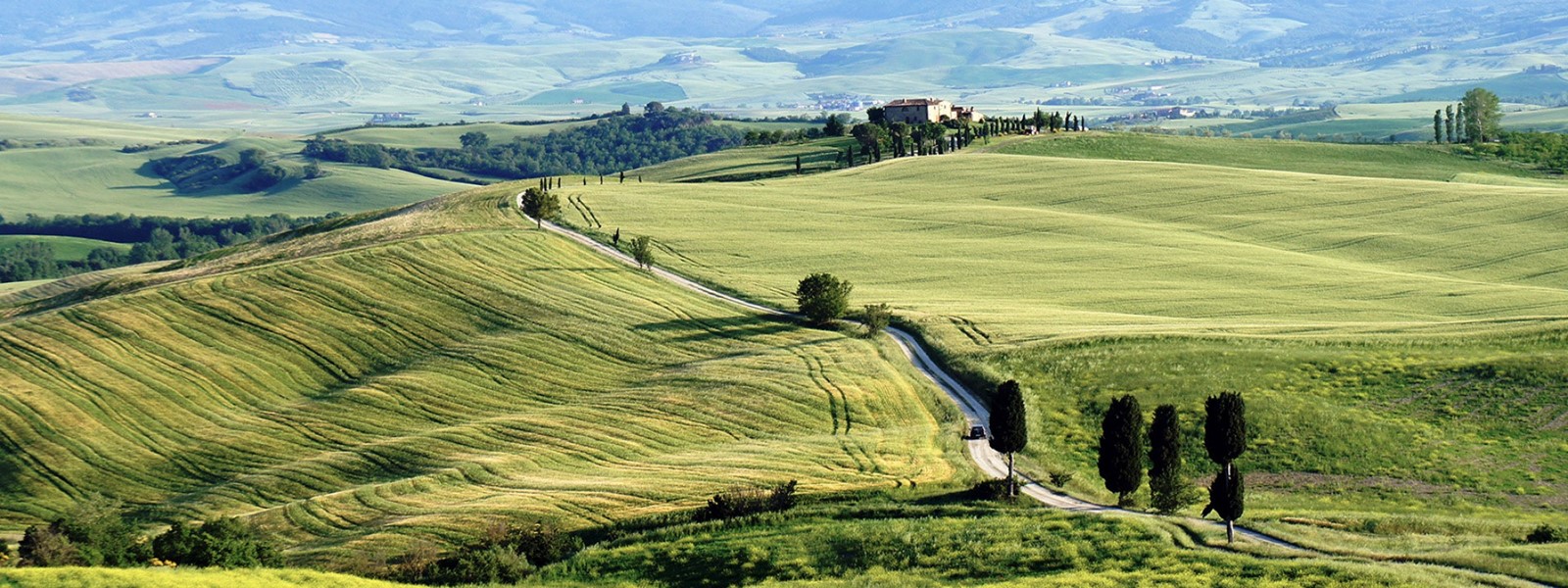 Start-up & Greenfield Projects